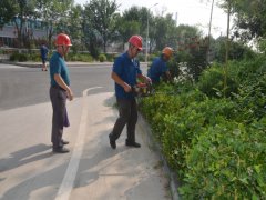 鞏固衛生城 我們在行動